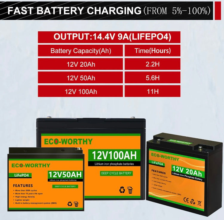 ECO-WORTHY 20Amp 12V Automatic Smart Battery Charger with LCD